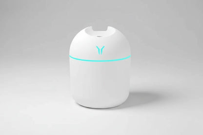 Mini Humidifier